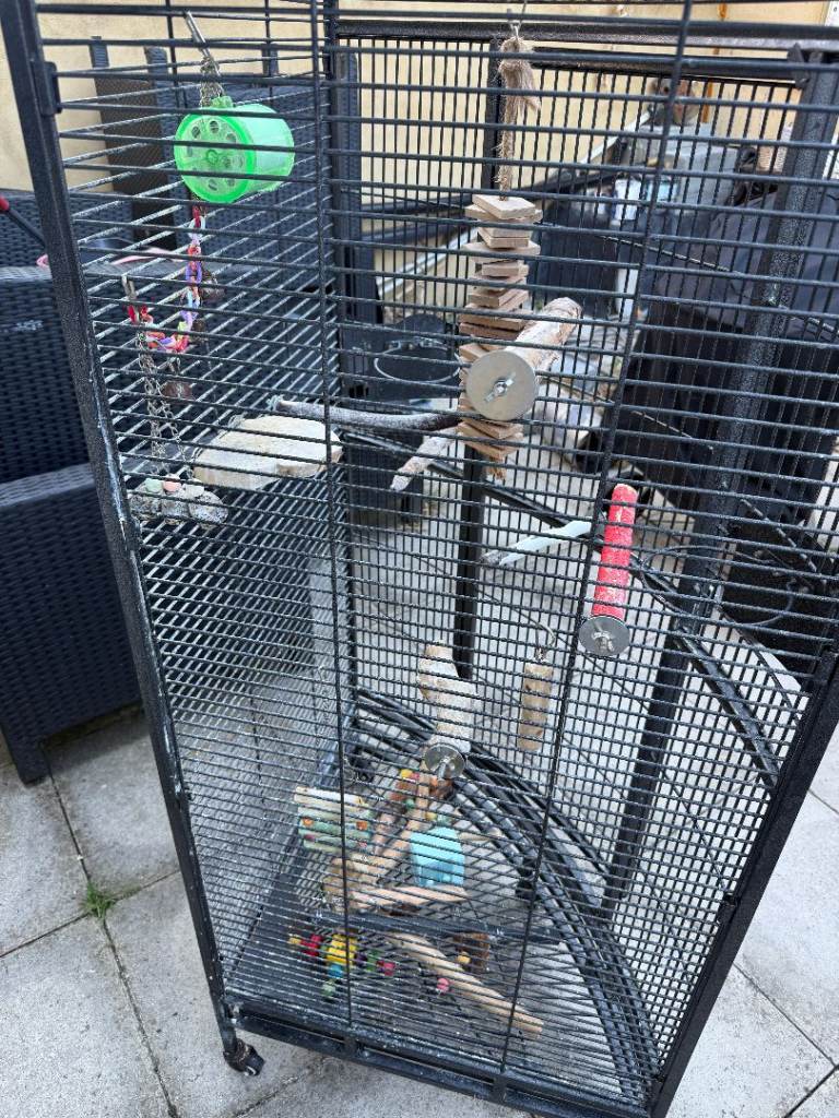 Parrot corner cage + toys 