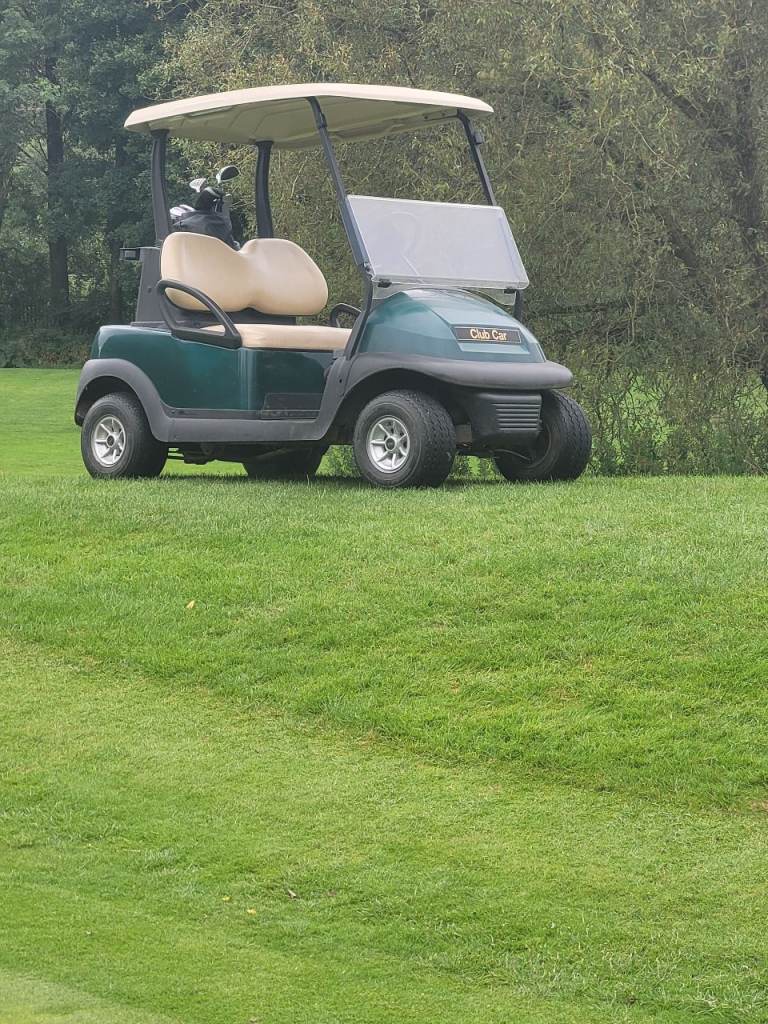 Golf buggies 