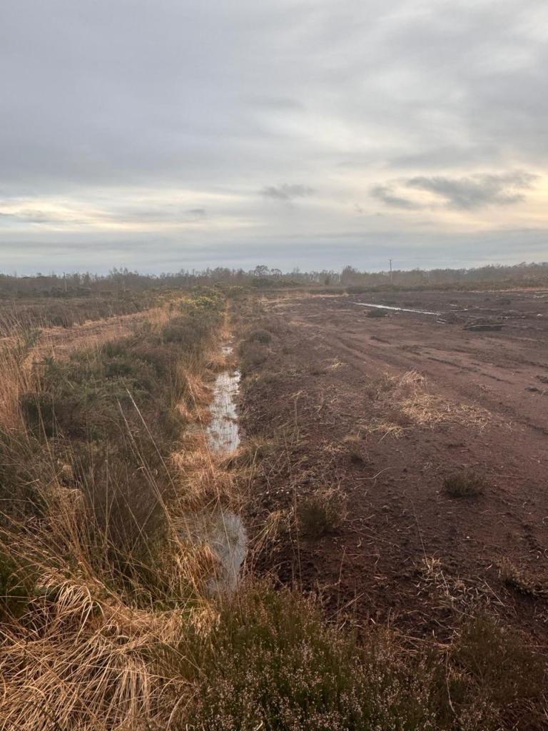 7 Acres of Peat Bog Land – County Armagh, Northern Ireland (BT61 8LR)