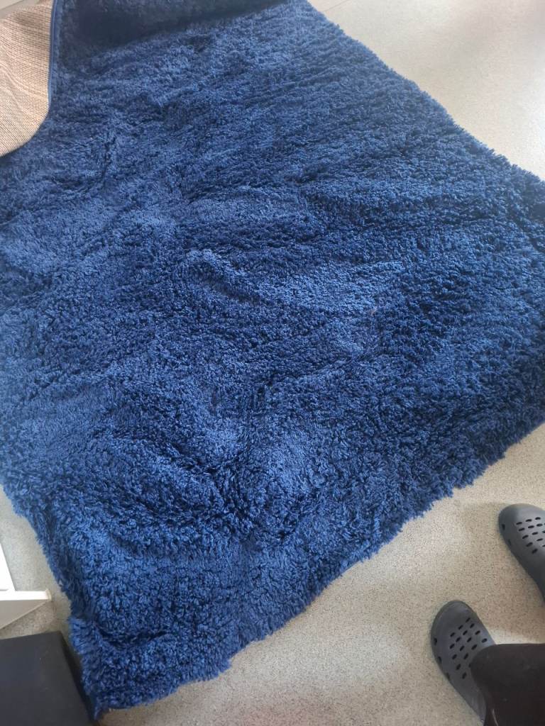 Free blue rug pending pickup