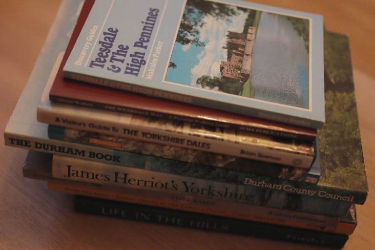 For Sale: job lot of books