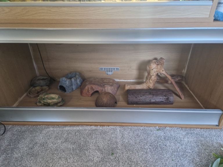 4ft vivarium 