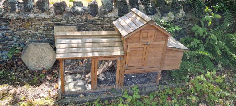 Small Chicken Coop for backyard chickens