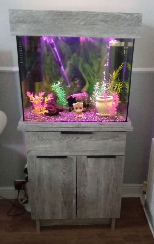 110litre tank with fish 