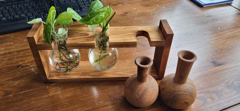 Wooden propagation set