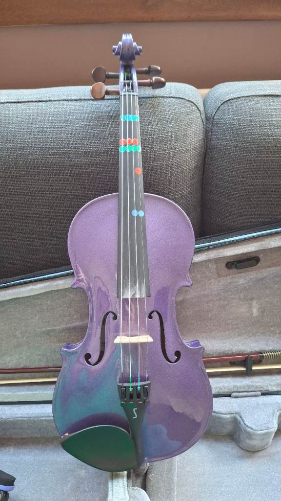 3/4 Size Purple Violin with Case – Good Condition