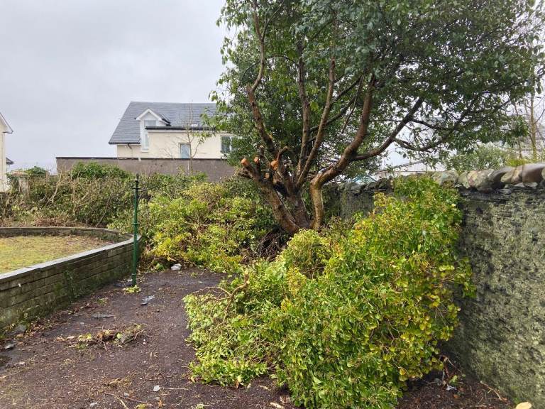 Seasonal Gardening for Ross and Sutherland