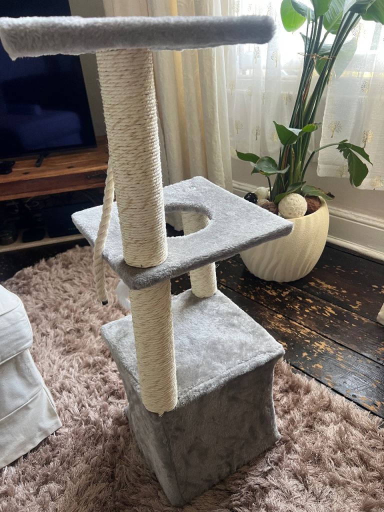 Cat scratch post 