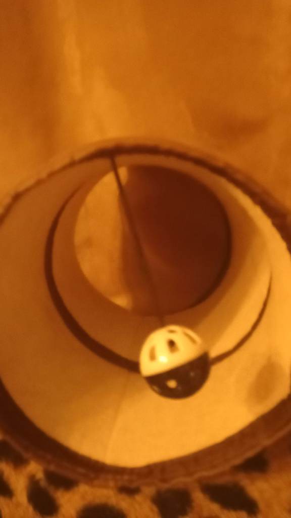 Cat tunnel toy small size good condition £5