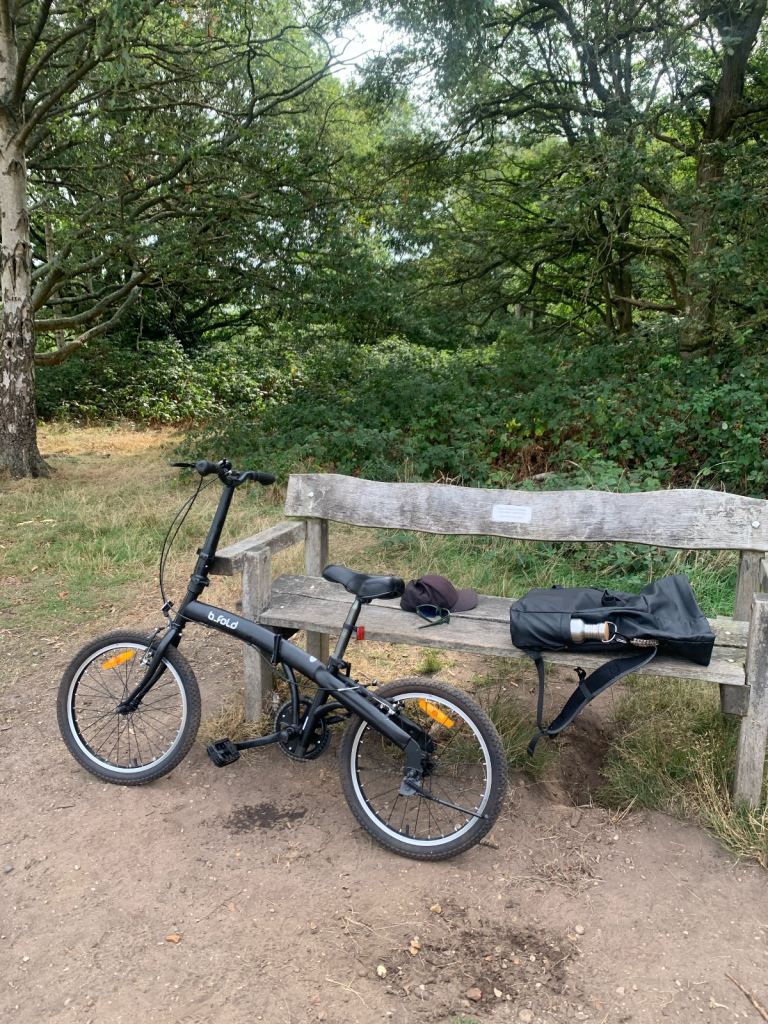 B fold folding bike single speed 