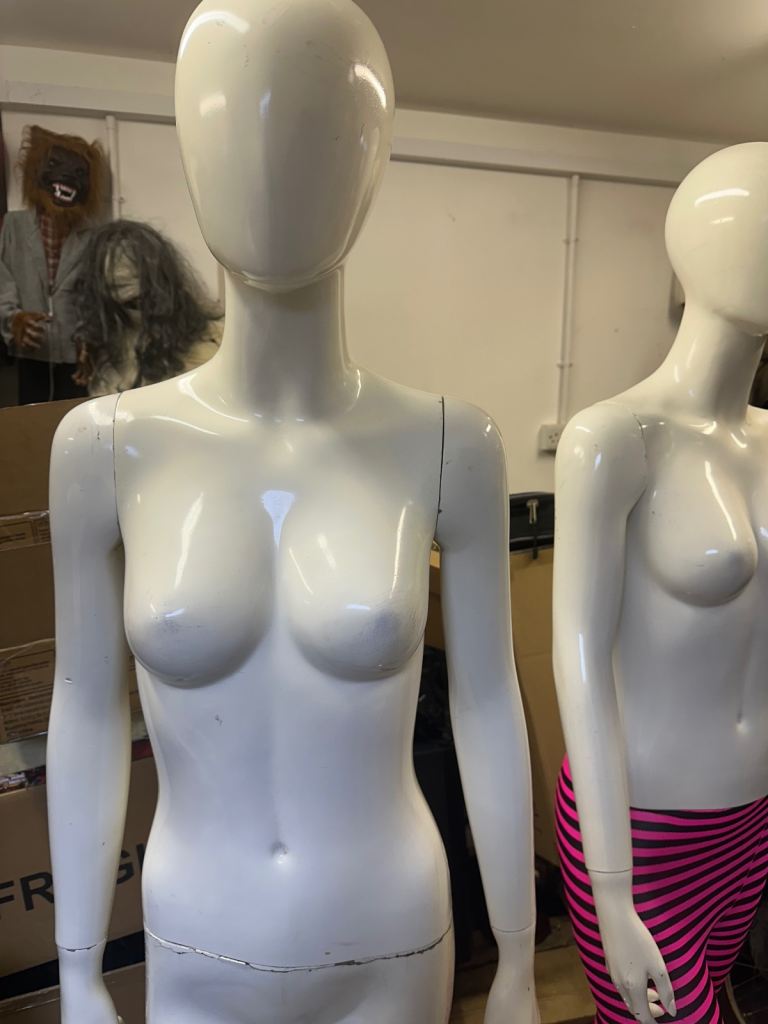 1 adult 1 child mannequinies