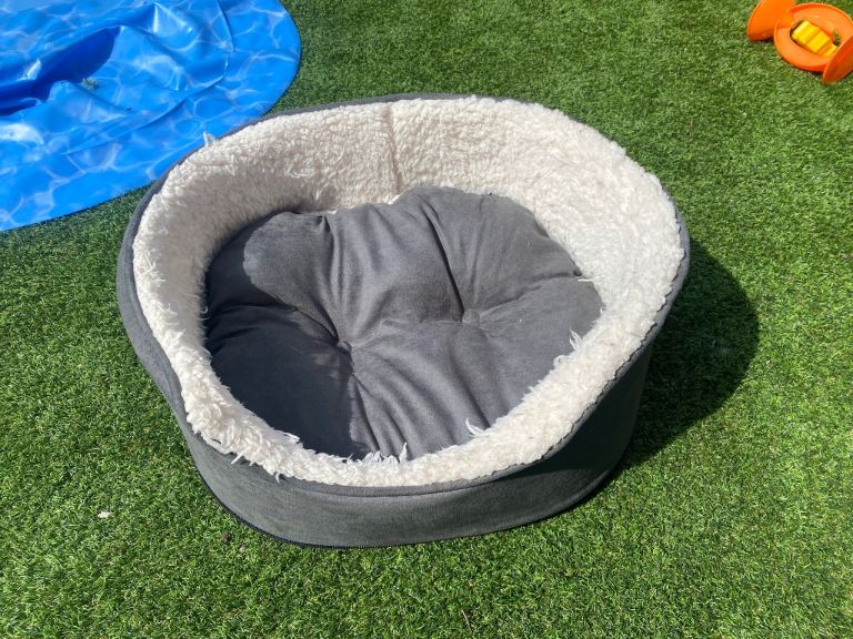 free small dog bed 