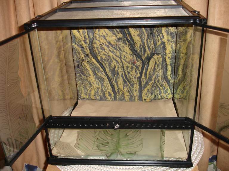 Exo Terra 45cm cube vivarium with equipment