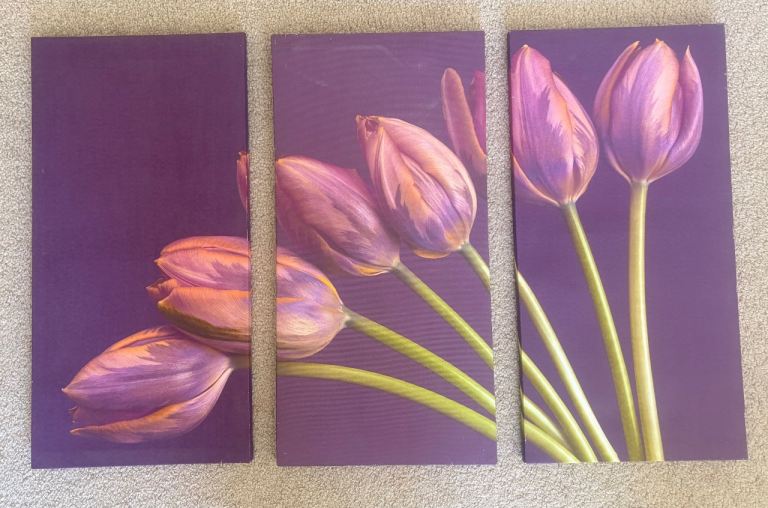 [2D Flat] Set of 3 Canvas Prints Featuring Modern Abstract Purple Tulips in Wooden Frames