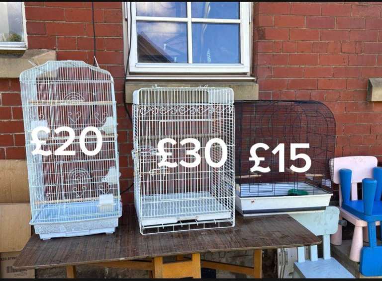 Birds cages fr sale