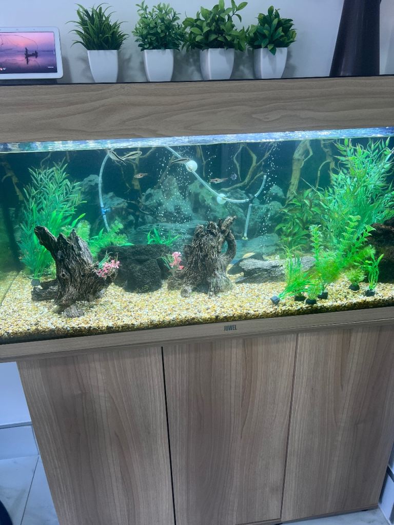 180 liter fish tank