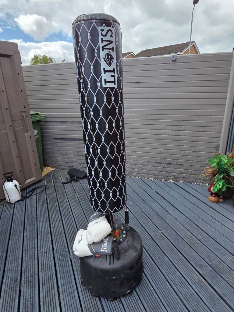 LIONS Punch Bag with Everlast Gloves – Good Condition