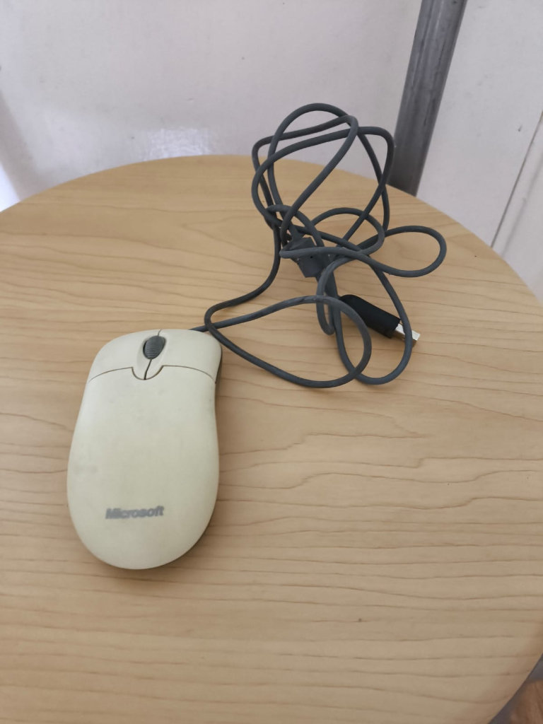 Microsoft Mouse 