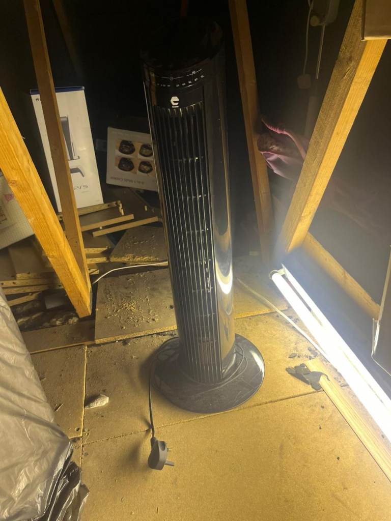 Tower and round fans