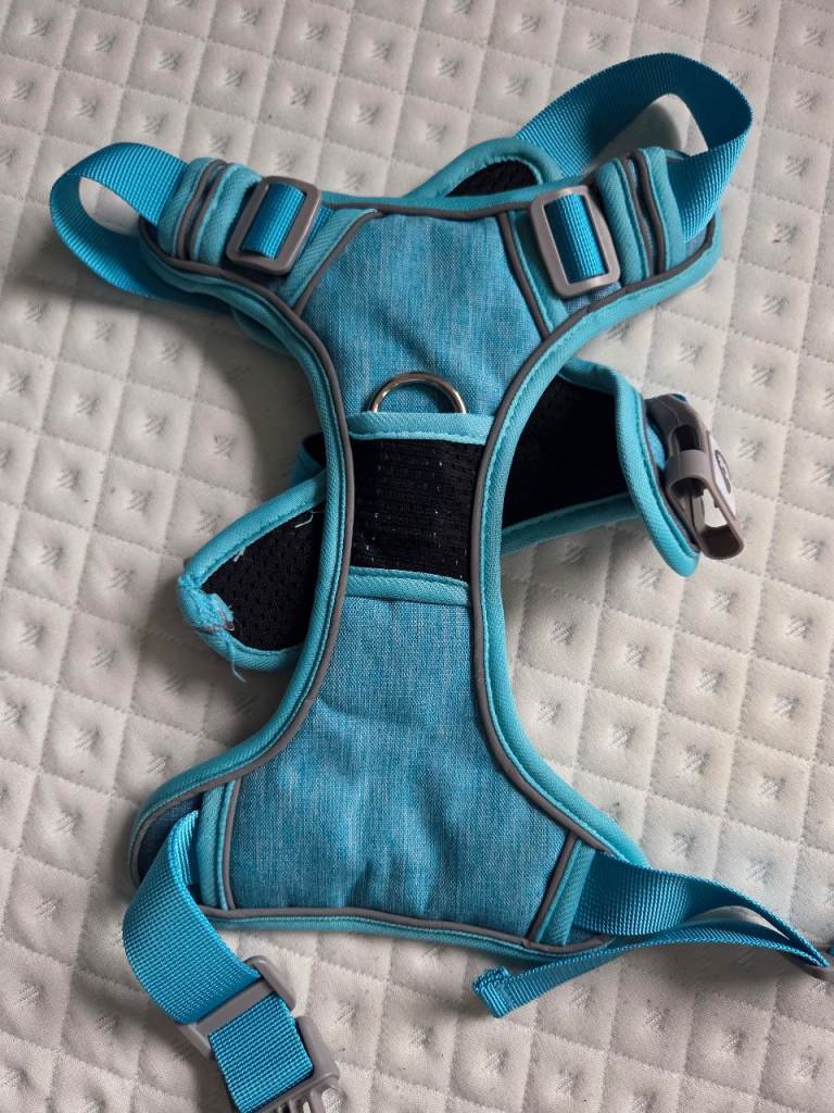 Light blue dog harness