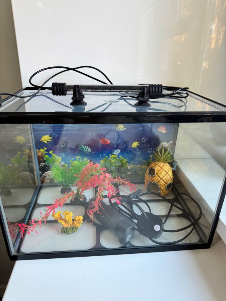 Fish tank 26 litres 
