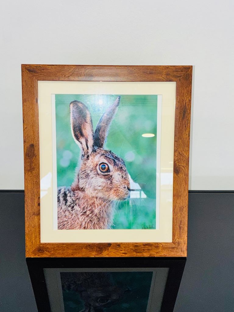 Mark Hick Framed Hare Rabbit Picture Rustic Wooden Frame