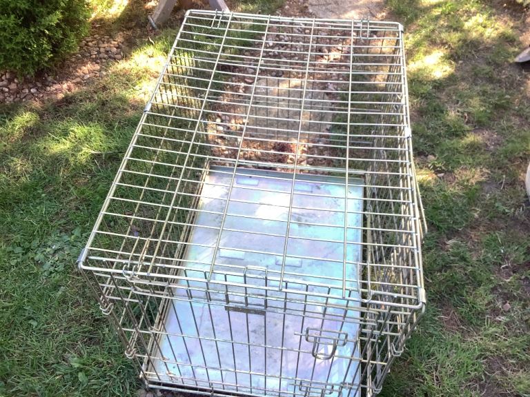 Dog cage 20 ins w x28 in L x 24 ins h
