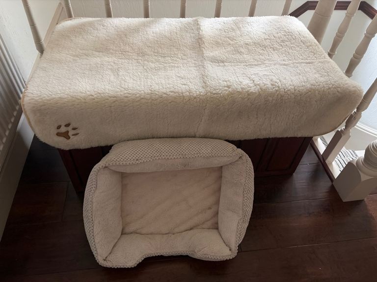 Dogs bed and blanket