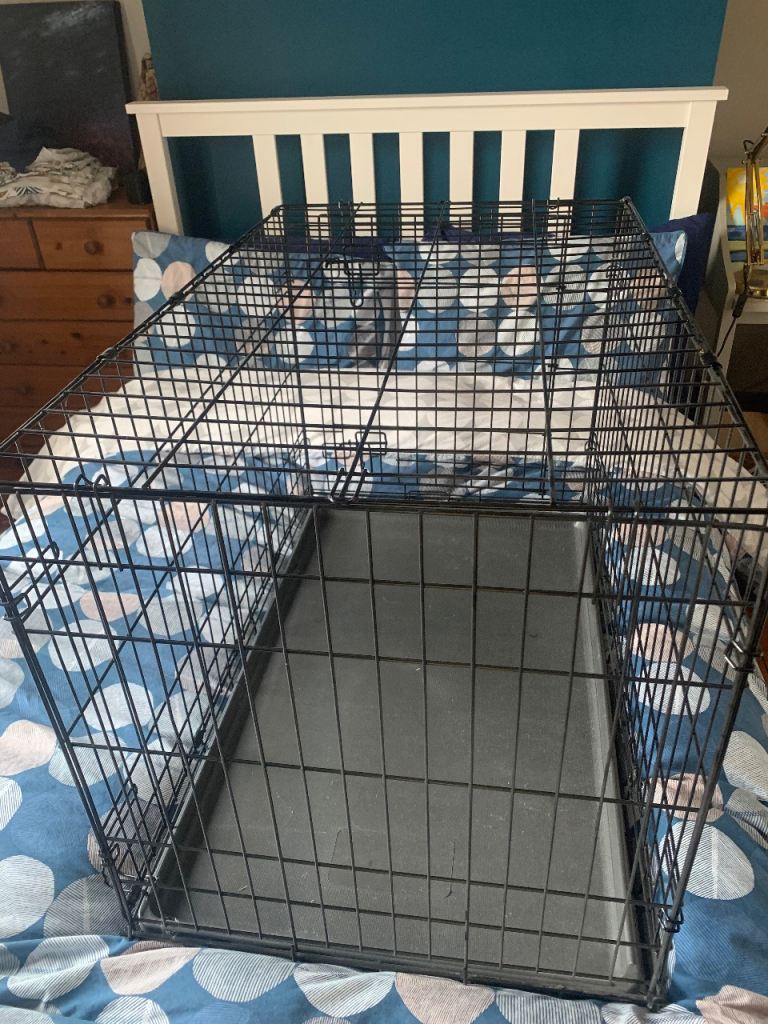 Puppy/ Dog Crate, Medium 