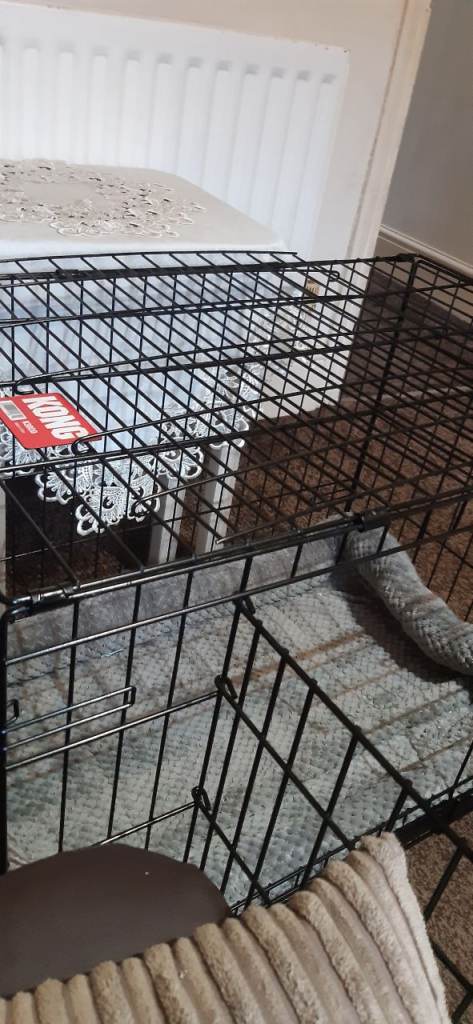 Dog crate 