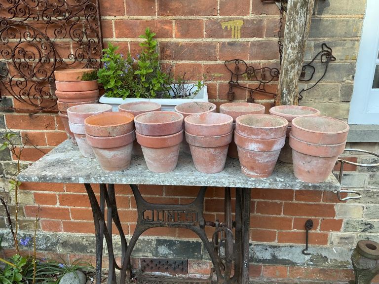 Collection of vintage aged terracotta plant pots