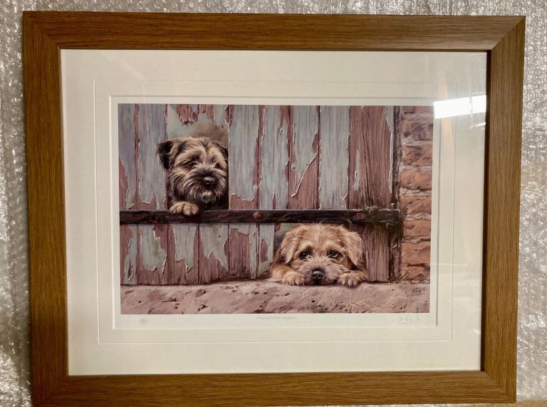 Limited Print of Border Terriers