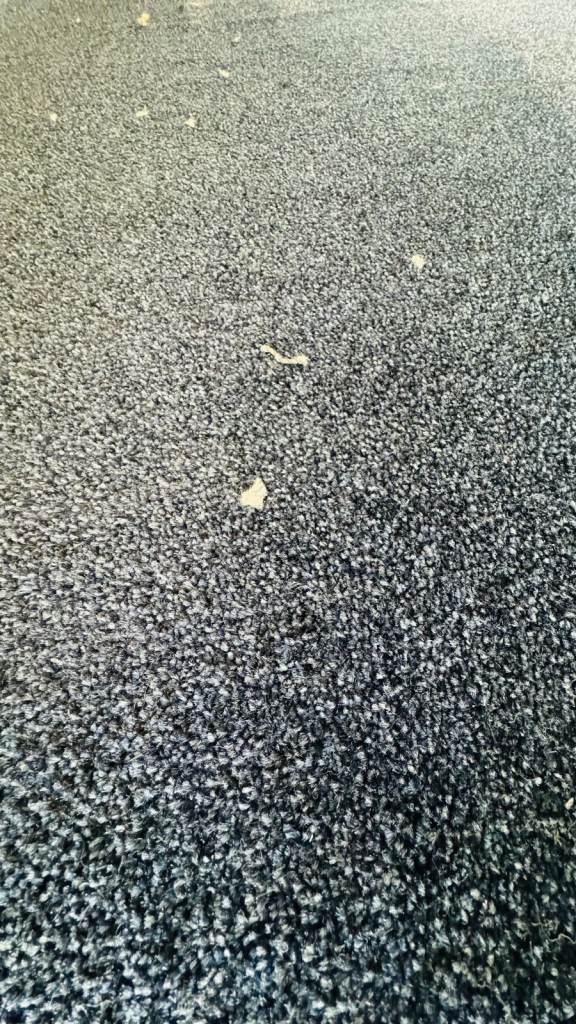 Brand New Carpet Remnant off-cut piece – Blue with Felt Backing – 480 x 116cm – £50