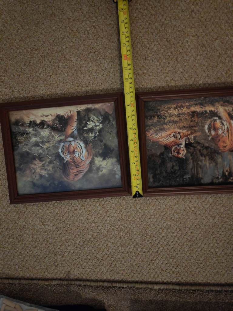 Tiger prints