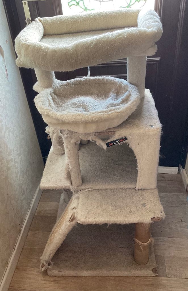 Free cat tree