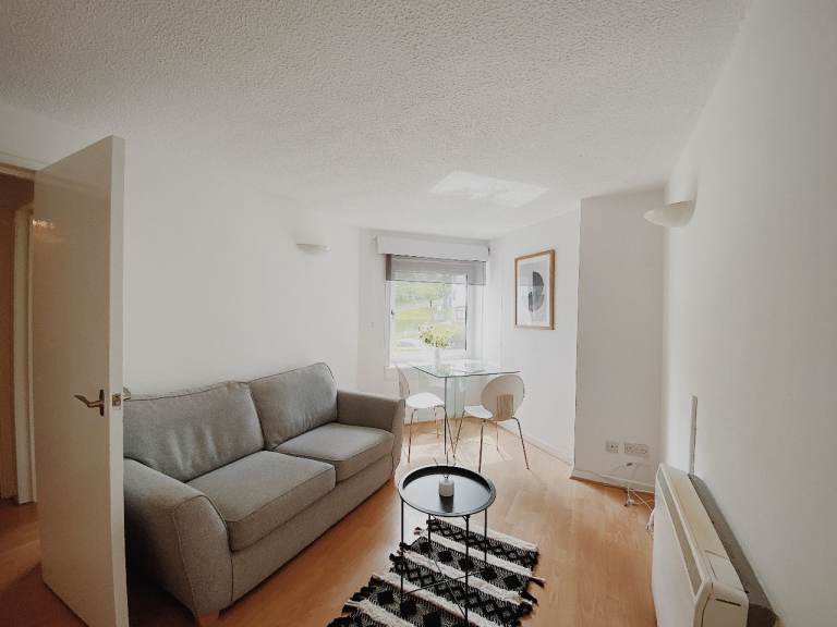 Fully Furnished One Bedroom Flat in Hamliton / The Furlongs