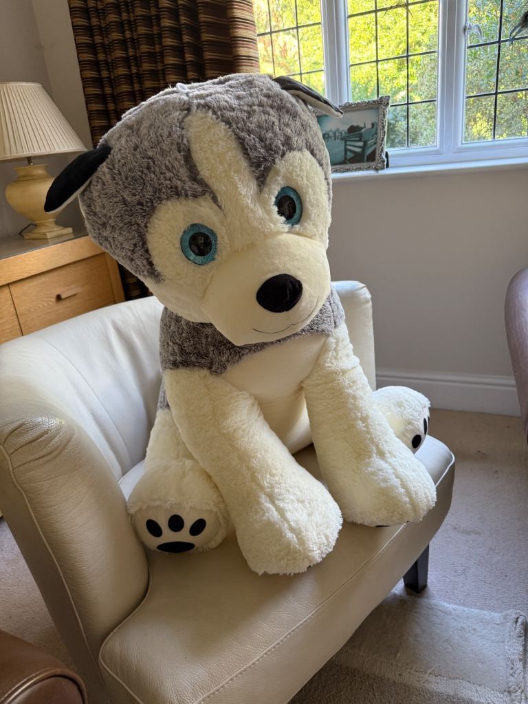 Giant dog soft toy grey and white 