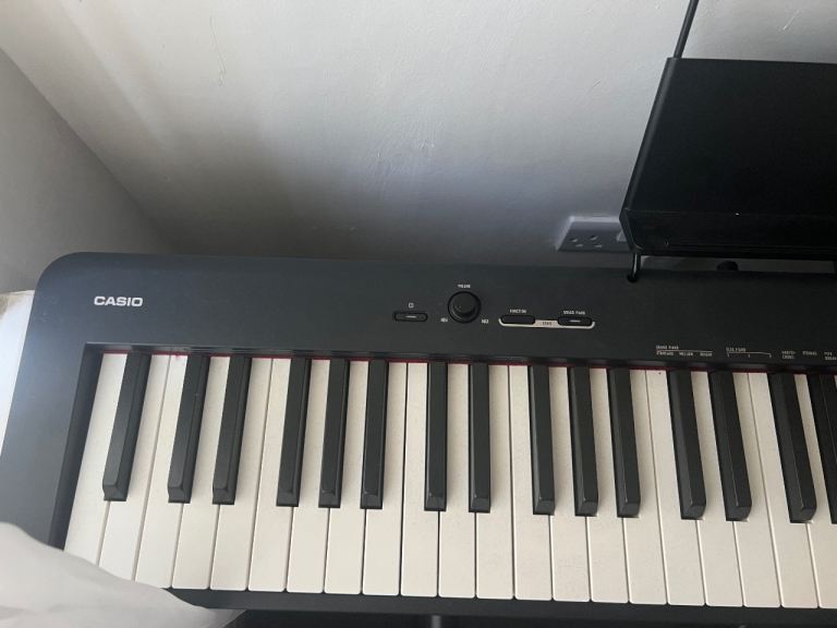 Casio CDP- S110
