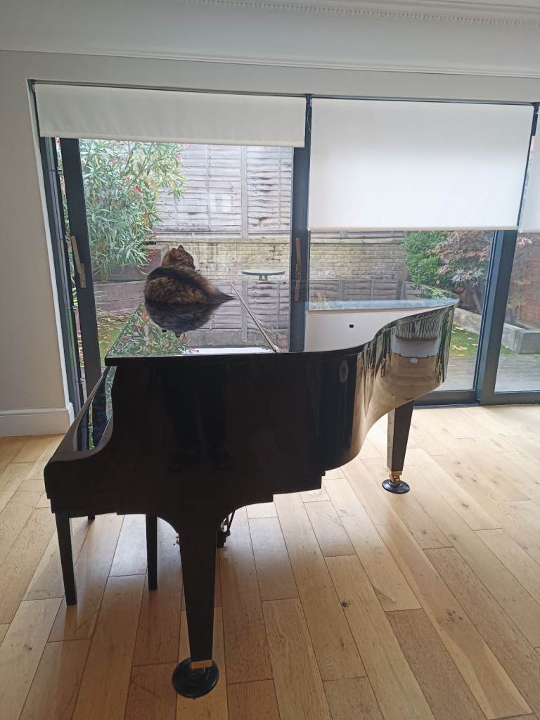 Kawai GL10 ATX4 - RRP £14,100