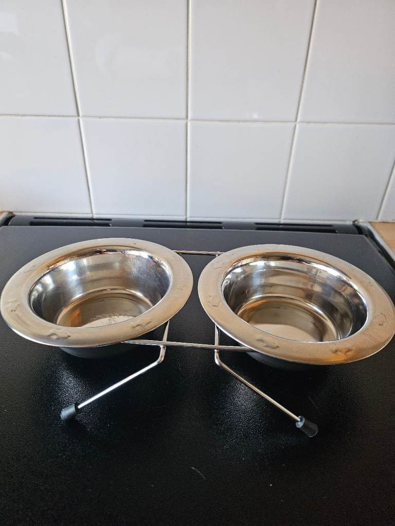Double Stainless Steel Pet Food and Water Bowls with Stand