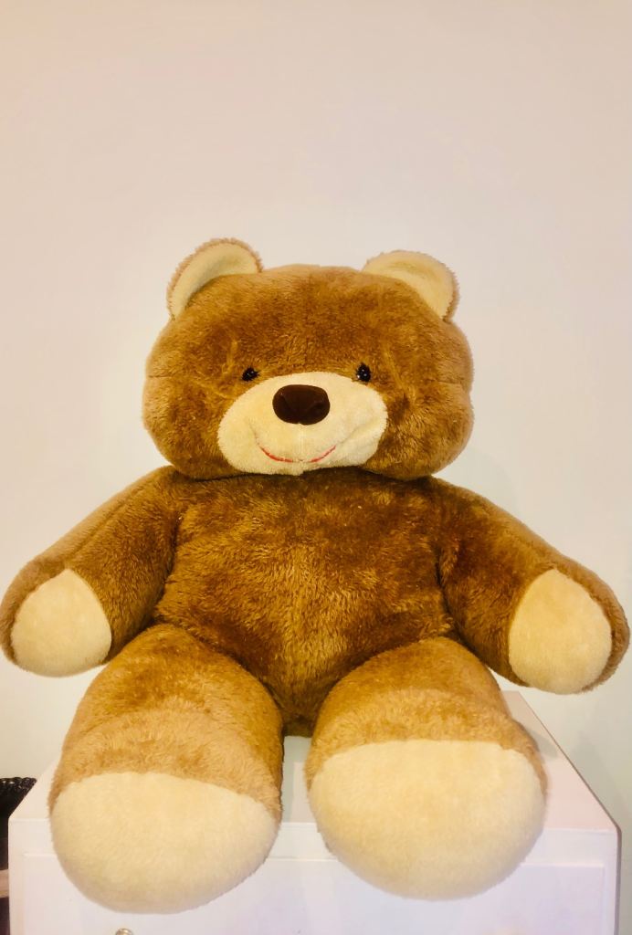 Terry the Teddy (90cm or 35”)
