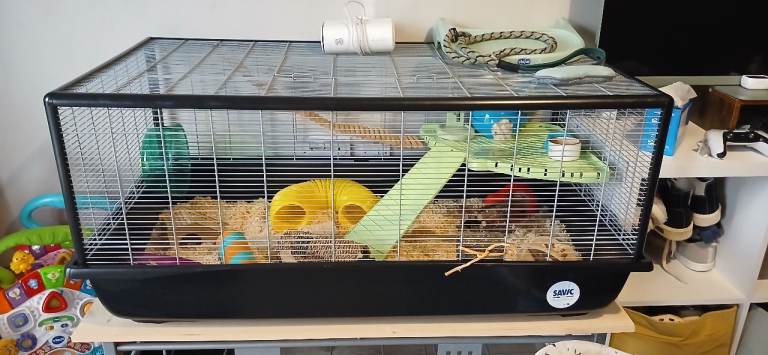 Hamster cage