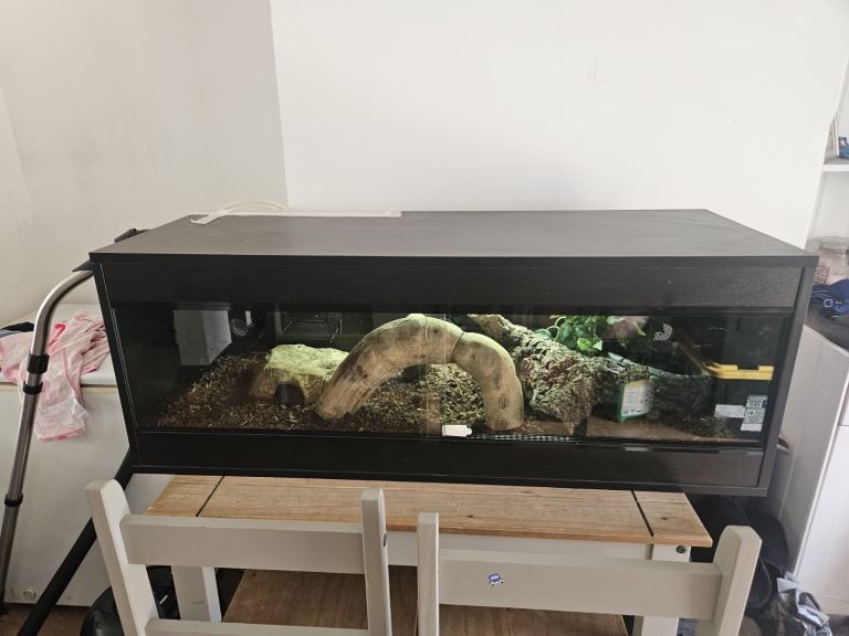 Bull python and full set up 