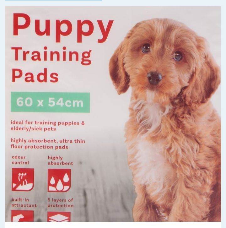 Puppy pads.