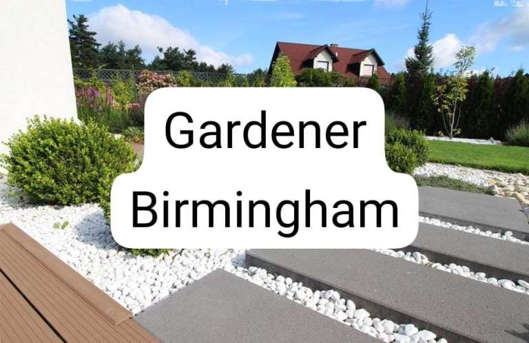 Garden maintenance, hedge cutting, planting, small trees, lawn care