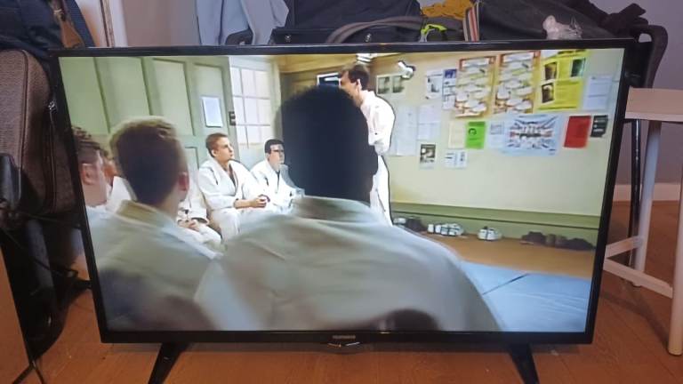 FREE DELIVERY excellent 43 TELEFUNKEN LED full HDTV 1080p freeveiw channels inbuilt 