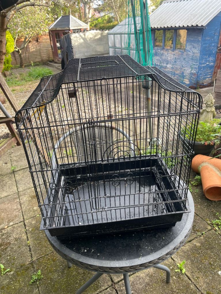 Budgie cage 