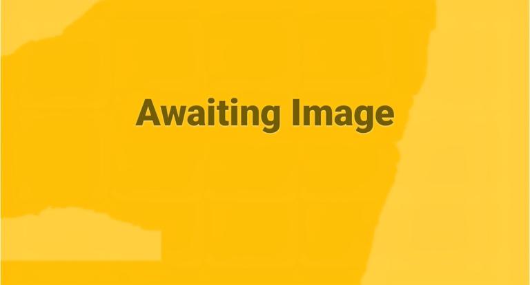 2019 Citroen Berlingo 1.6 BlueHDi 650Kg X 75ps PANEL VAN Diesel Manual