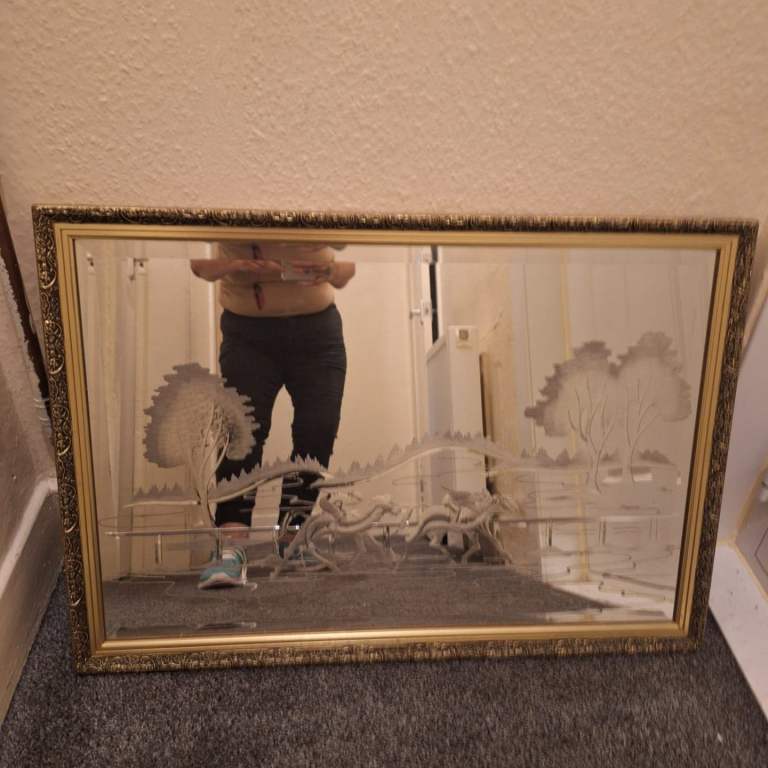 Decorative Framed Mirror with Etched Design