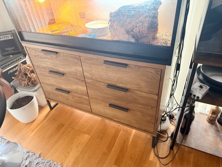 4ft tank and bearded dragon 